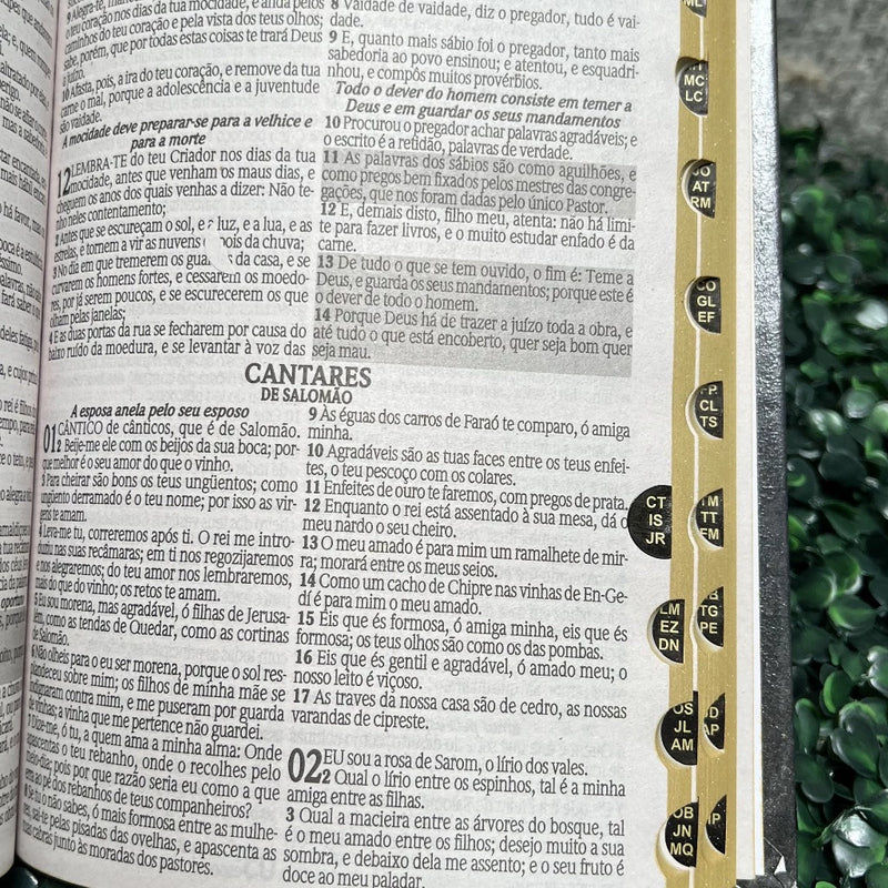 Bíblia Sagrada Leão Yeshua (Jesus) Branco Edifica Letras Médias Folha Ecológica Com Harpa e Índice