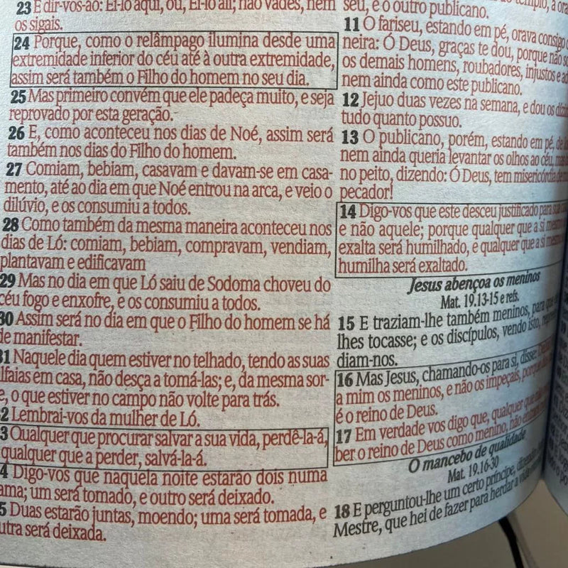Kit 2 Bíblias Evangélicas Leão Filha do Rei/ Leão Yeshua Branca/ LETRAS MÉDIAS Com Harpa e Índice