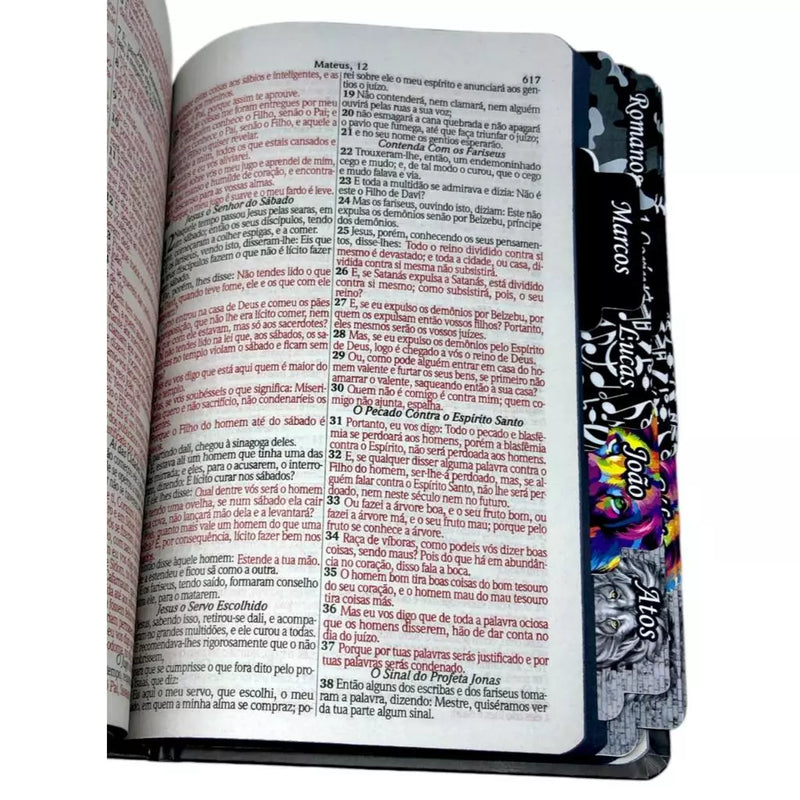 Bíblia Masculina Para Homem Leão Jesus