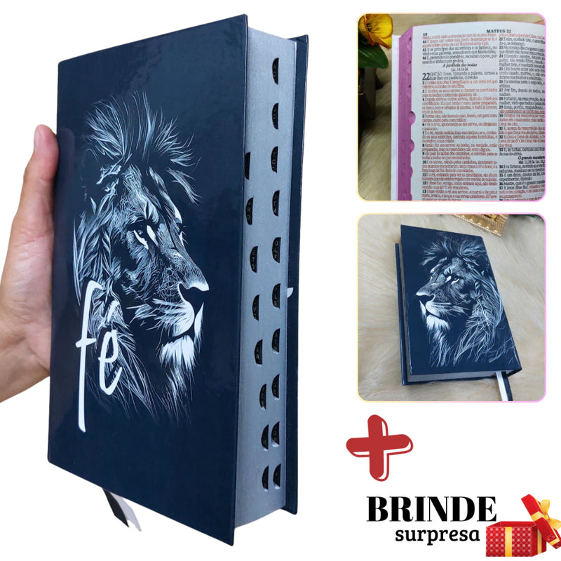 Biblia Sagrada Letra Média Jovem Harpa Cristã João Ferreira Almeida Masculina Palavras destacada